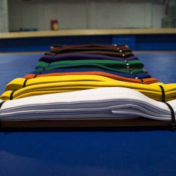 belts, colors, martial arts-2125250.jpg