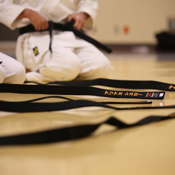 black belt, karate, traditional-894190.jpg