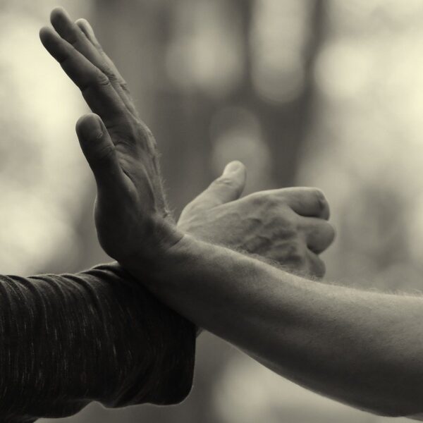 hands, martial arts, qi gong-6706782.jpg